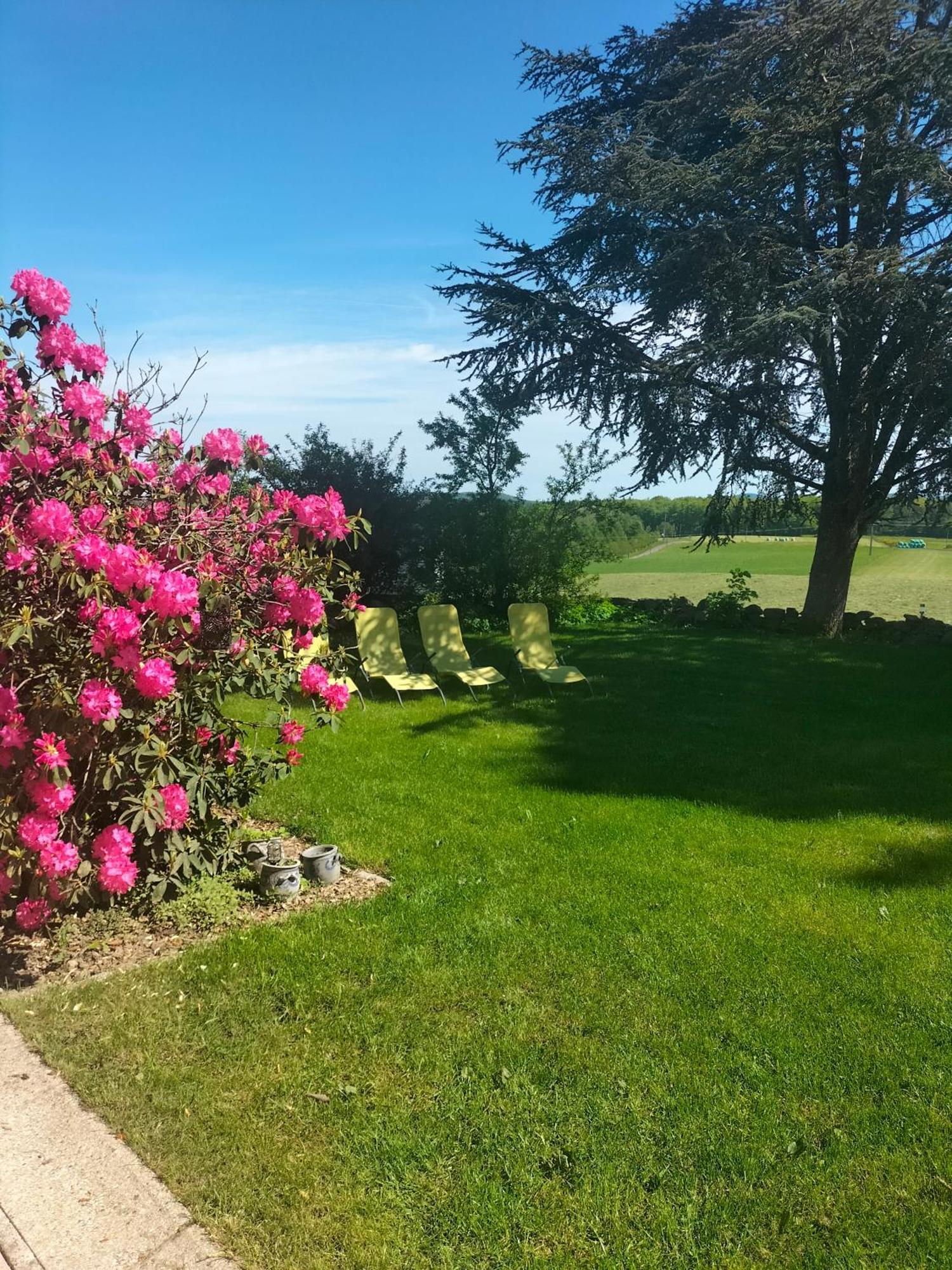 Gite Belle Fleur 6 Personnes- Vosges Saint-Nabord Kültér fotó